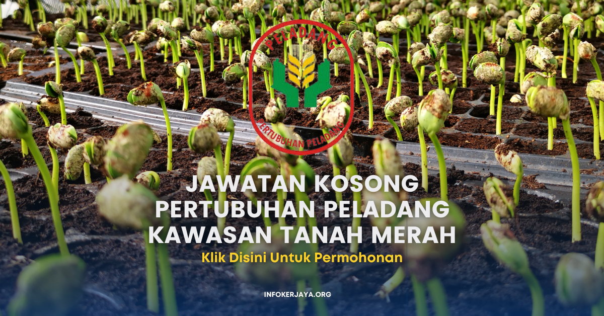 Jawatan Kosong Pertubuhan Peladang Kawasan Tanah Merah Jawatan Kosong