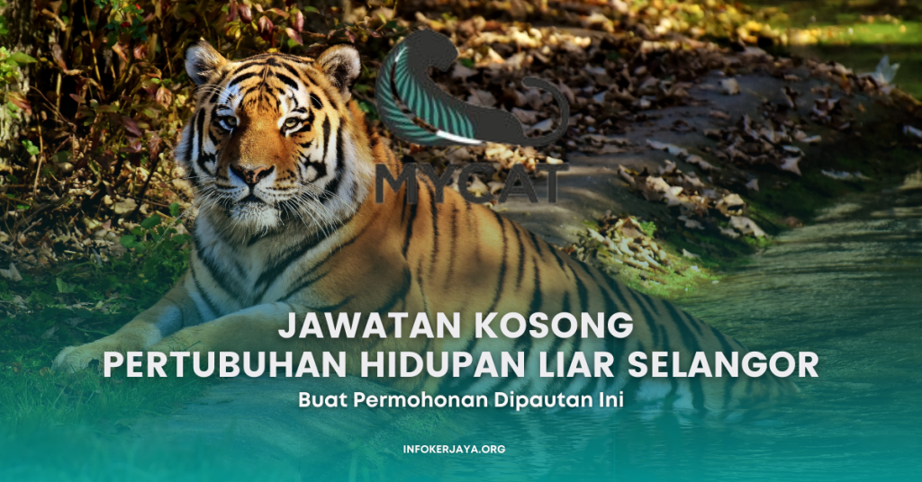 Pertubuhan Hidupan Liar Selangor