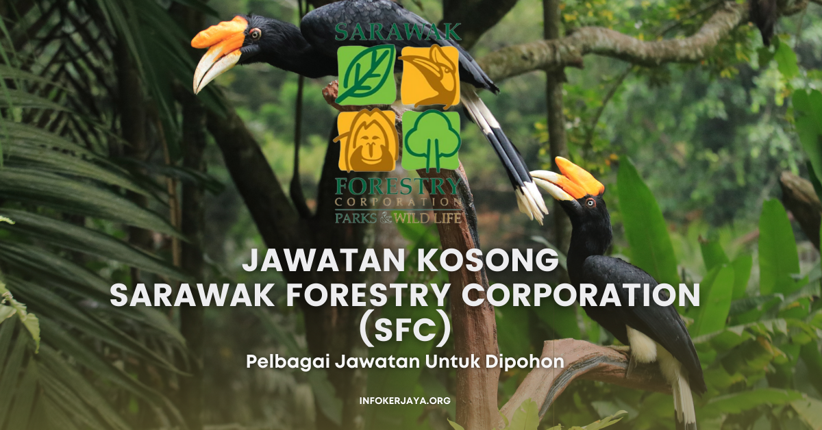 Jawatan Kosong Sarawak Forestry Corporation (SFC) • Jawatan Kosong Terkini